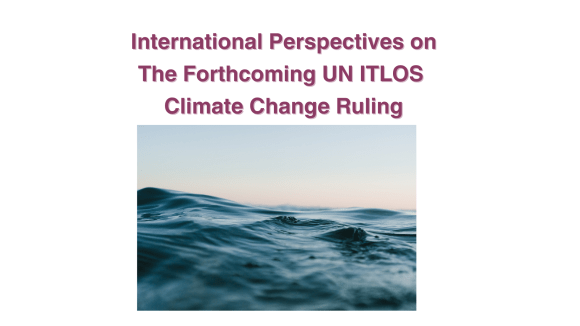 International Perspectives